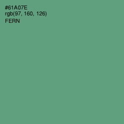 #61A07E - Fern Color Image