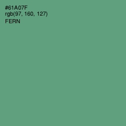 #61A07F - Fern Color Image