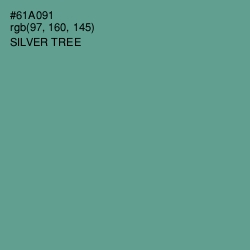 #61A091 - Silver Tree Color Image