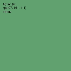 #61A16F - Fern Color Image