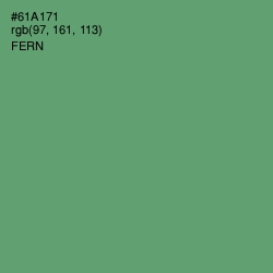 #61A171 - Fern Color Image
