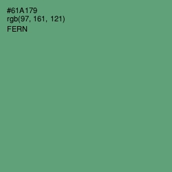 #61A179 - Fern Color Image
