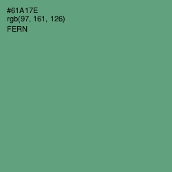 #61A17E - Fern Color Image