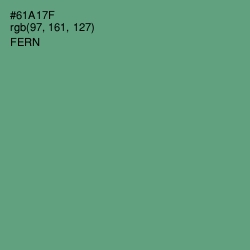 #61A17F - Fern Color Image