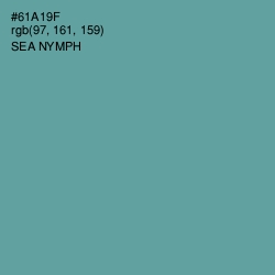 #61A19F - Sea Nymph Color Image