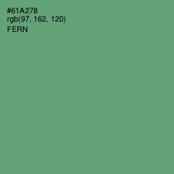 #61A278 - Fern Color Image