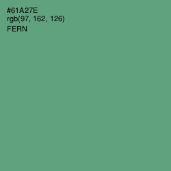 #61A27E - Fern Color Image