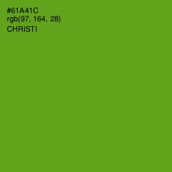 #61A41C - Christi Color Image