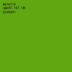 #61A712 - Christi Color Image