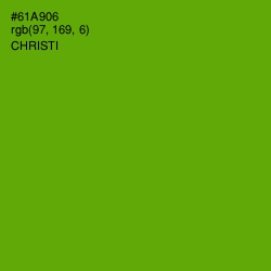 #61A906 - Christi Color Image