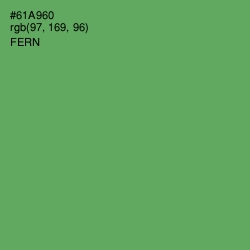 #61A960 - Fern Color Image