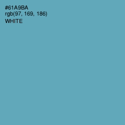 #61A9BA - Neptune Color Image