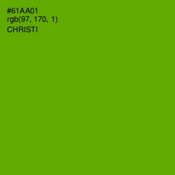 #61AA01 - Christi Color Image