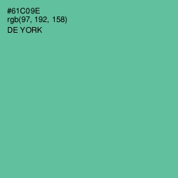 #61C09E - De York Color Image