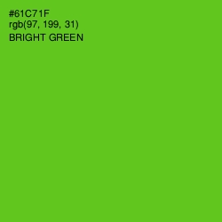 #61C71F - Bright Green Color Image