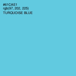 #61CAE1 - Turquoise Blue Color Image
