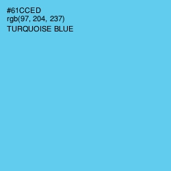 #61CCED - Turquoise Blue Color Image