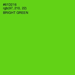 #61D216 - Bright Green Color Image