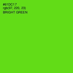 #61DC17 - Bright Green Color Image