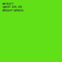 #61E017 - Bright Green Color Image