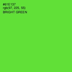 #61E137 - Bright Green Color Image