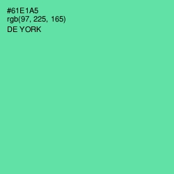 #61E1A5 - De York Color Image