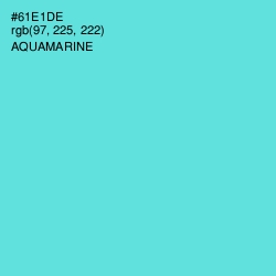 #61E1DE - Aquamarine Color Image