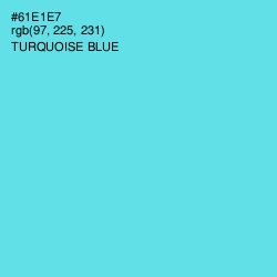 #61E1E7 - Turquoise Blue Color Image