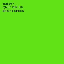 #61E217 - Bright Green Color Image