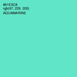 #61E5C8 - Aquamarine Color Image