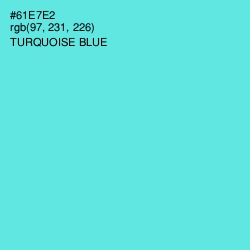 #61E7E2 - Turquoise Blue Color Image