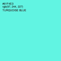 #61F4E3 - Turquoise Blue Color Image