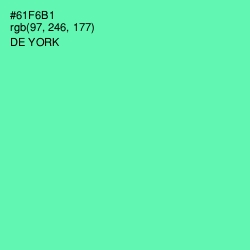 #61F6B1 - De York Color Image