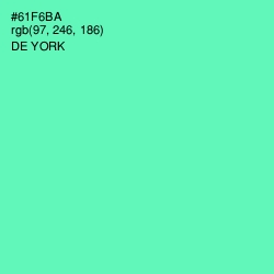 #61F6BA - De York Color Image