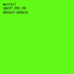 #61FA17 - Bright Green Color Image