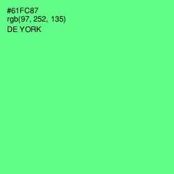 #61FC87 - De York Color Image