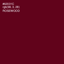 #62031C - Rosewood Color Image