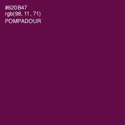 #620B47 - Pompadour Color Image