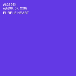#6239E4 - Purple Heart Color Image