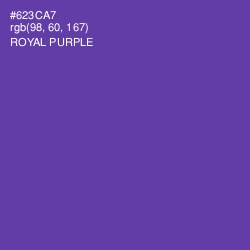 #623CA7 - Royal Purple Color Image
