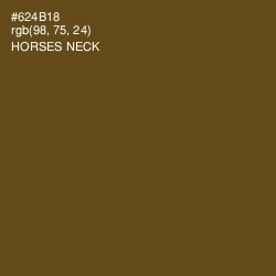 #624B18 - Horses Neck Color Image