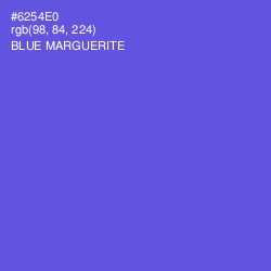 #6254E0 - Blue Marguerite Color Image