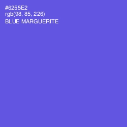 #6255E2 - Blue Marguerite Color Image