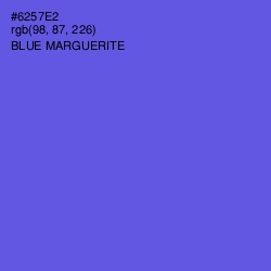 #6257E2 - Blue Marguerite Color Image