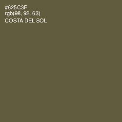 #625C3F - Costa Del Sol Color Image