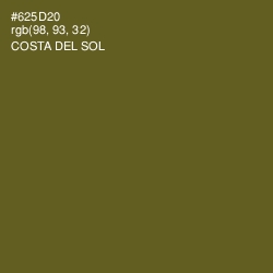 #625D20 - Costa Del Sol Color Image