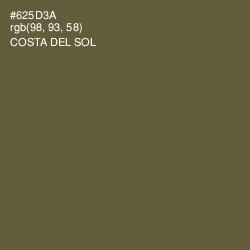 #625D3A - Costa Del Sol Color Image