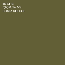 #625E35 - Costa Del Sol Color Image