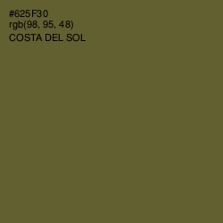 #625F30 - Costa Del Sol Color Image