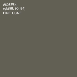 #625F54 - Pine Cone Color Image